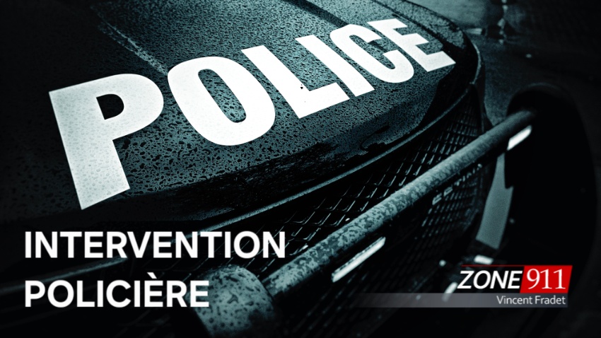 56 armes saisies dans un logement à Québec, voici pourquoi 